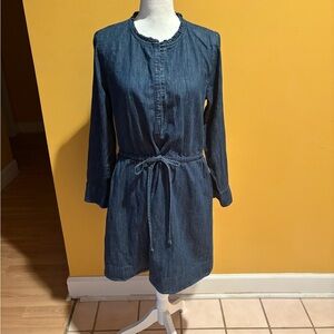 Elegant Long Sleeve Denim Dress